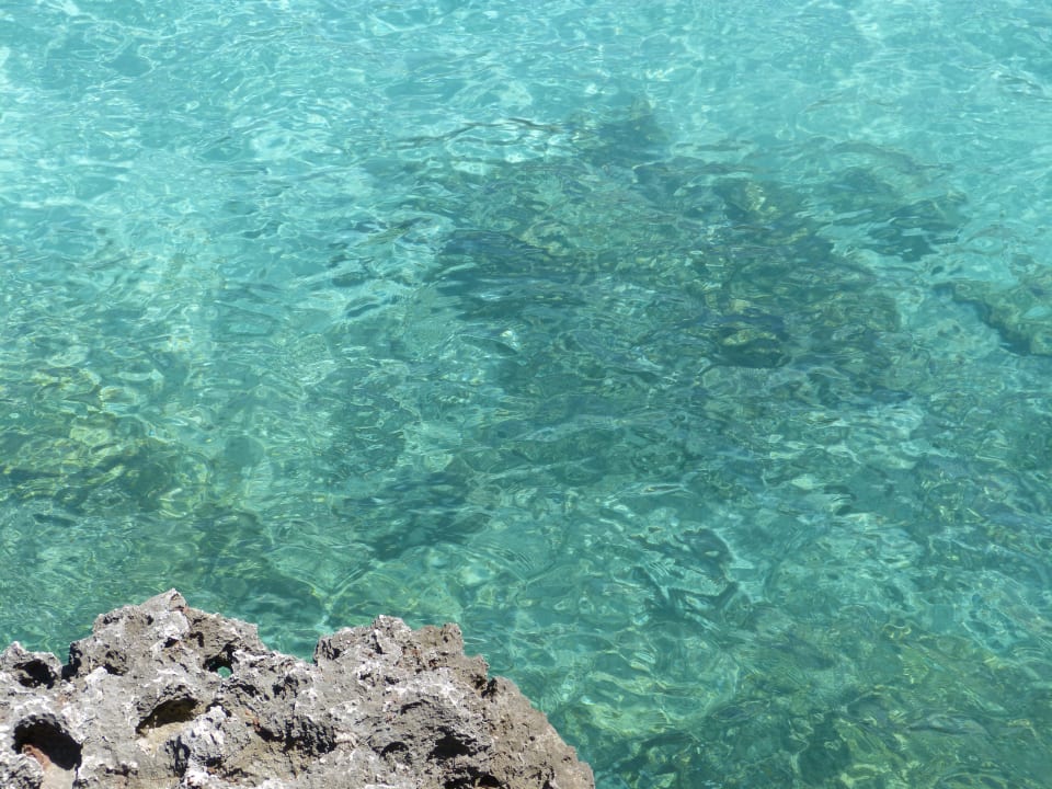 Strand Grupotel Rocador