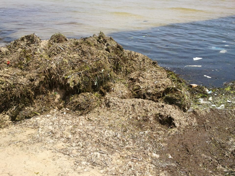 Hotel Marhaba Royal Salem Marhaba Royal Salem