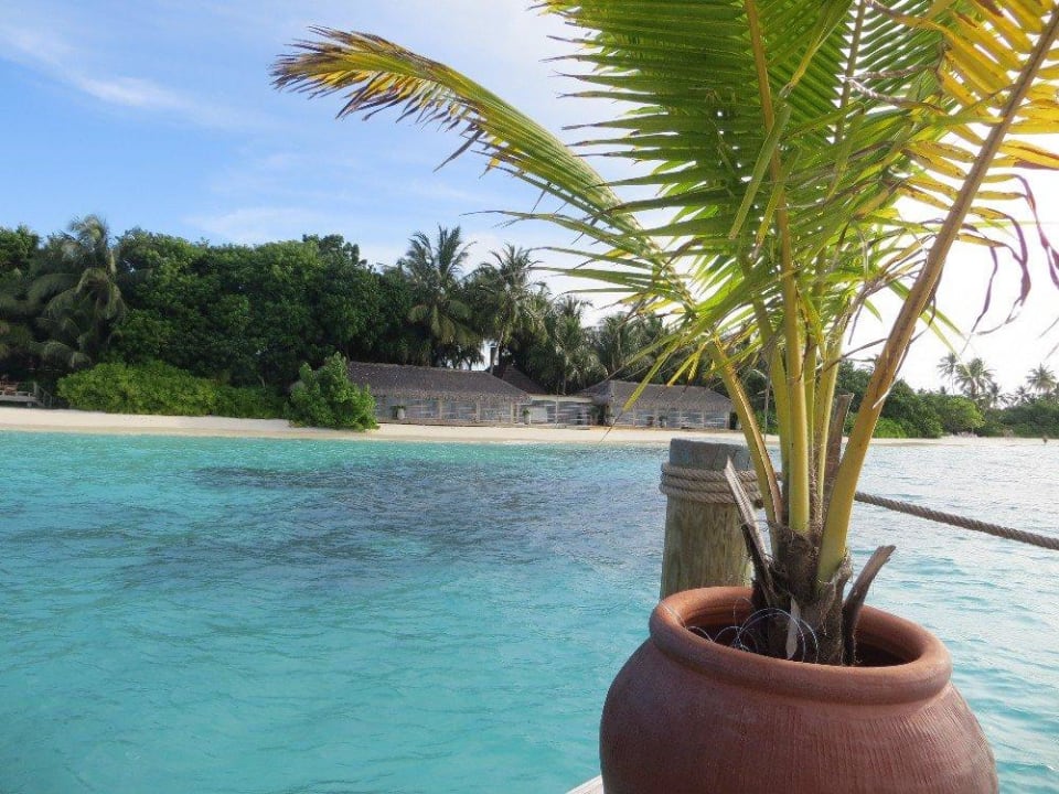 The Reef Kuramathi Maldives