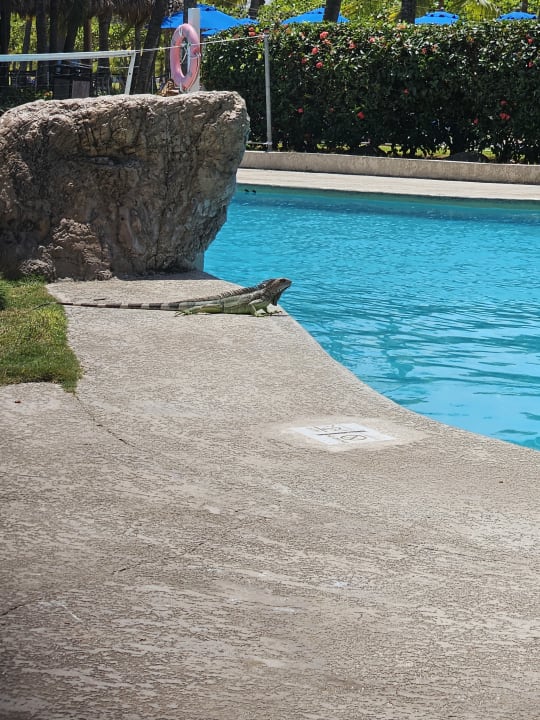 Sonstiges Fiesta Resort All Inclusive Central Pacific - Costa Rica