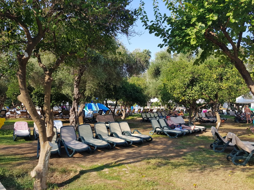 Gartenanlage Horus Paradise Luxury Resort & Club