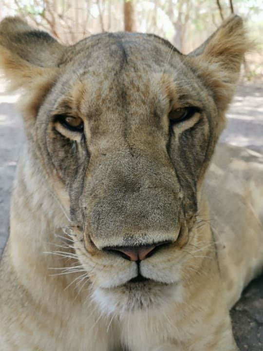 Sonstiges TUI BLUE Tamala