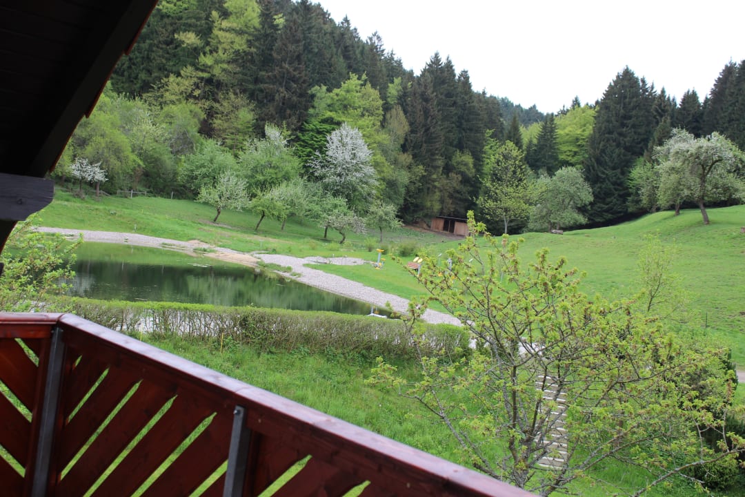 Ausblick Ferienwohnung Nüßleshof