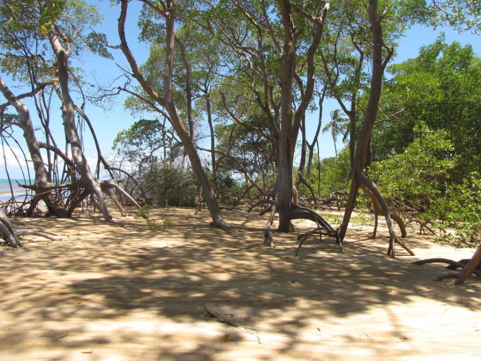 Zauber der Natur/Mangroven Pousada Mamucabinha