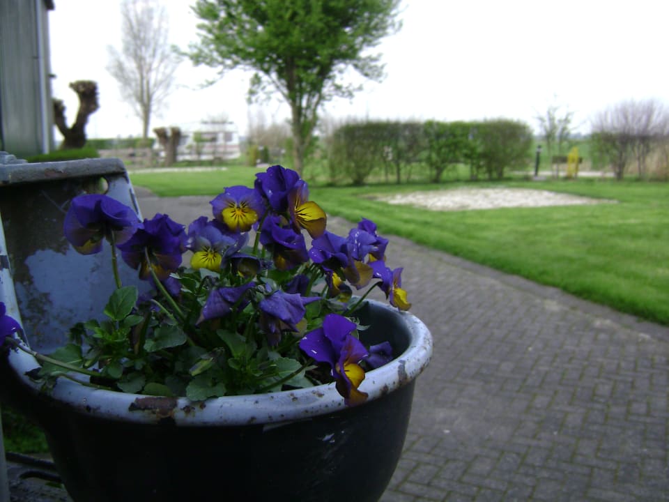 Garten Boerderij Hazenveld