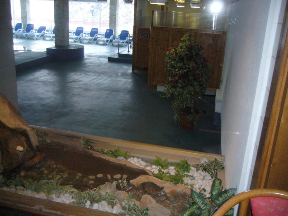 Blick auf den Pool AHORN Panorama Hotel Oberhof