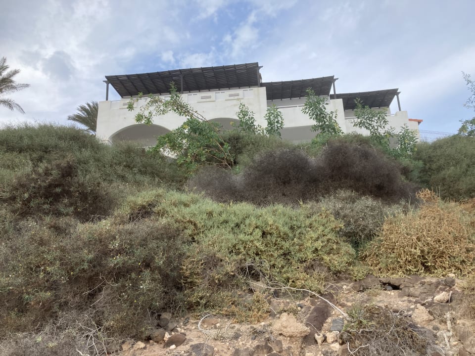 Außenansicht TUI MAGIC LIFE Fuerteventura