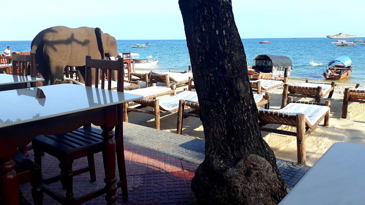 Ausblick Tembo House Hotel And Apartments