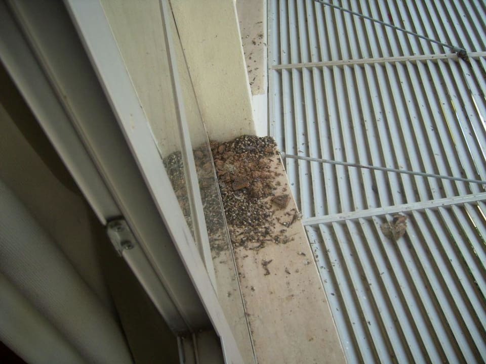 Unser Fensterrahmen Duja Bodrum