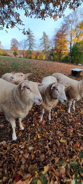 Ausblick Berghotel Hoher Knochen