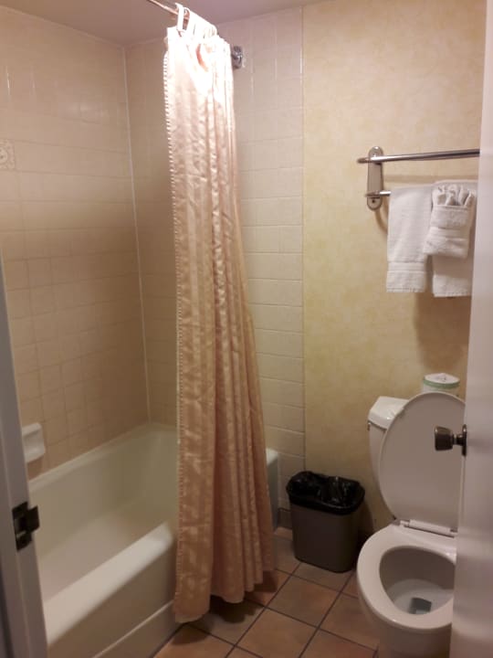 Zimmer Best Western Plus Hotel Raffles Inn & Suites