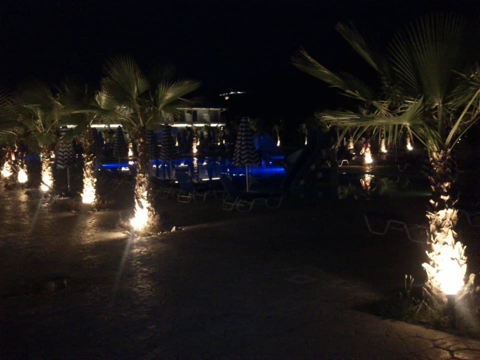 Basen Caretta Island Hotel