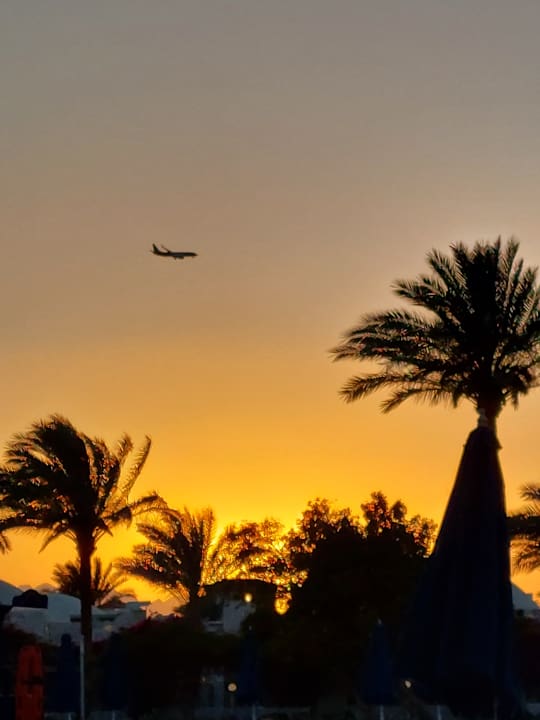 Außenansicht Desert Rose