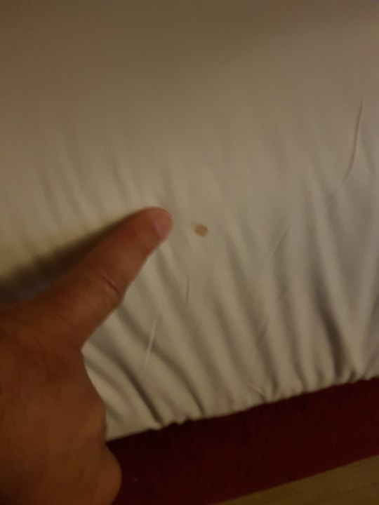 Zimmer Jaz Makadi Oasis Resort