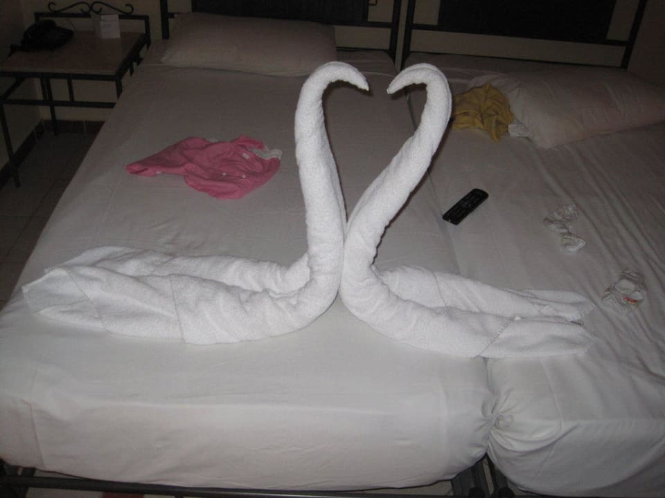 2 Schwäne aus Handtüchern! Jaz Makadi Oasis Resort