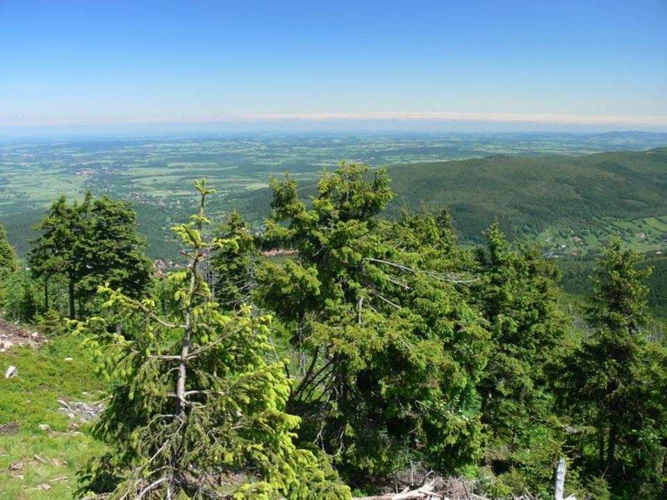 Okolica  Hotel Alchemik