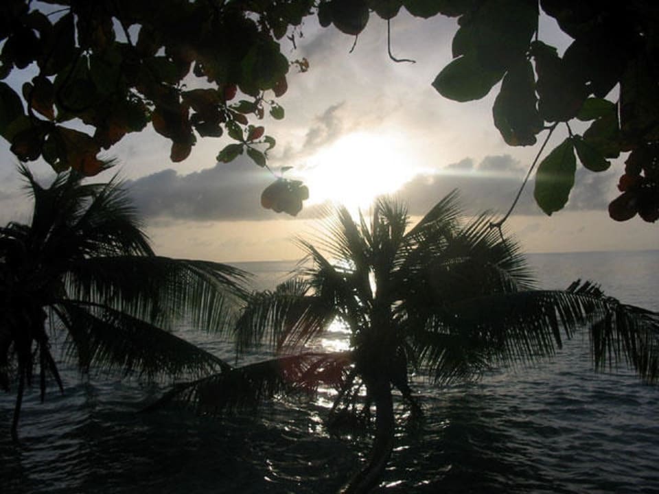 Fihalhohi  Fihalhohi Maldives