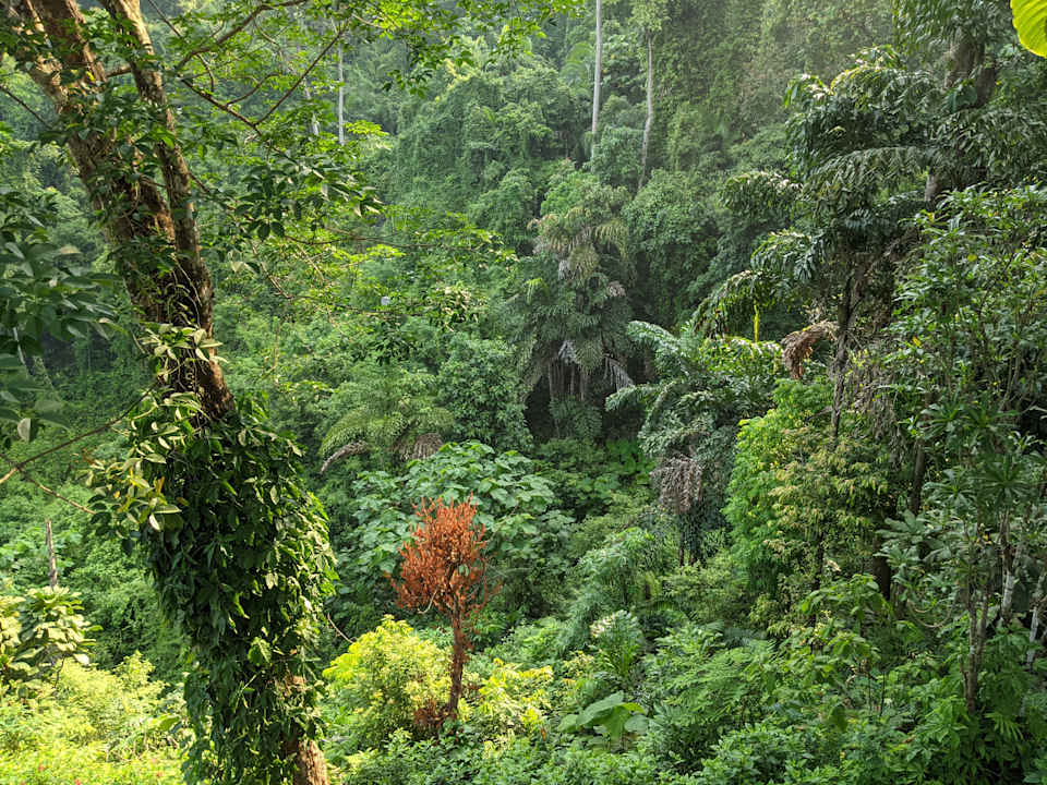 Ausblick SYLVAN Koh Chang