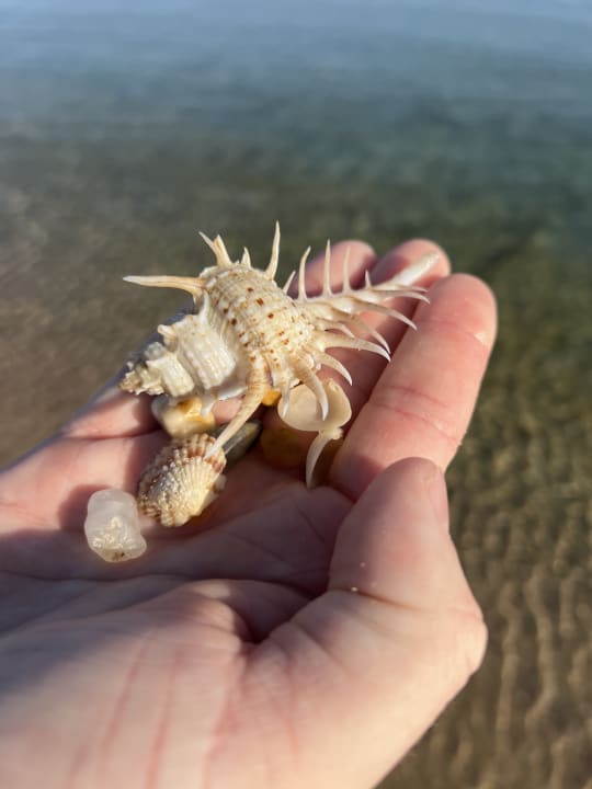 Strand Steigenberger Aqua Magic