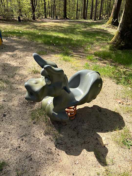 Sport & Freizeit Oostappen Vakantiepark Arnhem