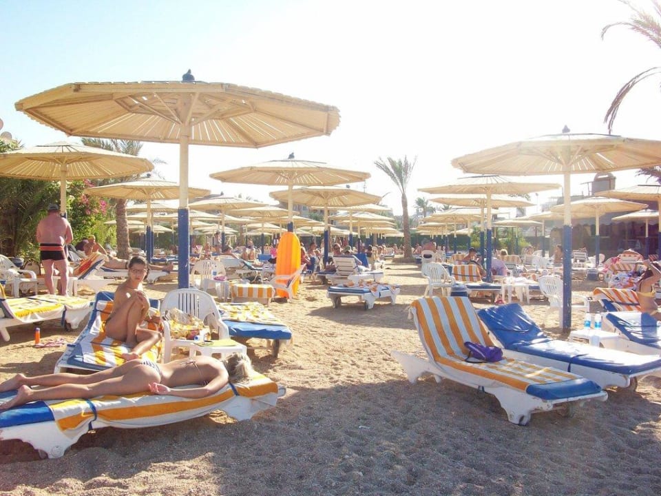 Strand Seagull Beach Resort