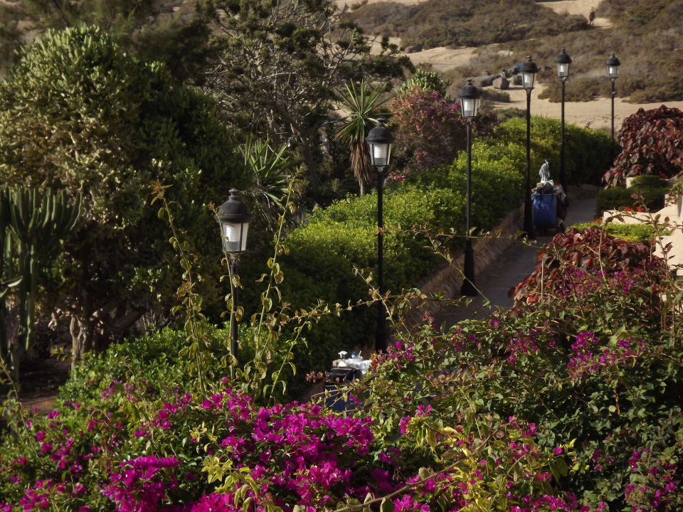 Weg zum Strand SBH Hotel Taro Beach