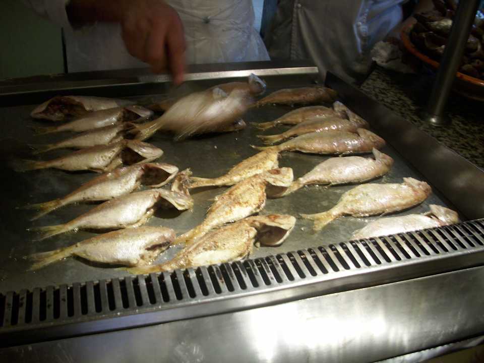 Frischer Fisch, leider lange Warteschlange Royal Lido Resort & Spa