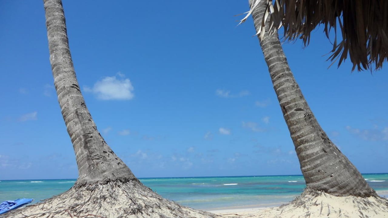 Hotelstrand Wyndham Alltra Punta Cana