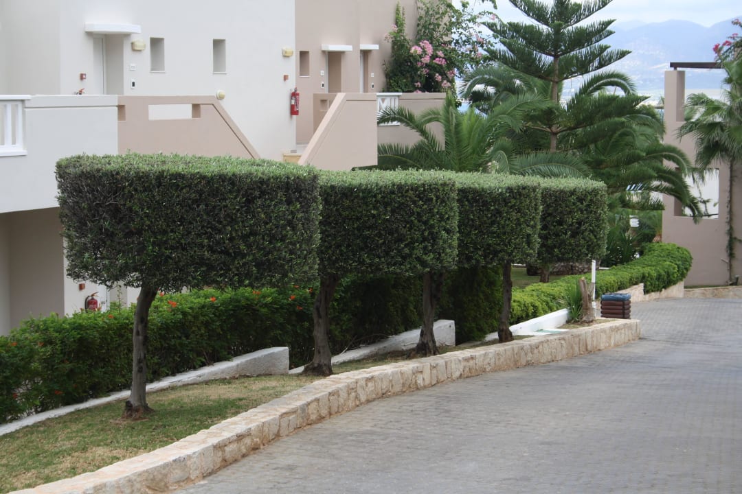 Außenanlage Grand Hotel Holiday Resort