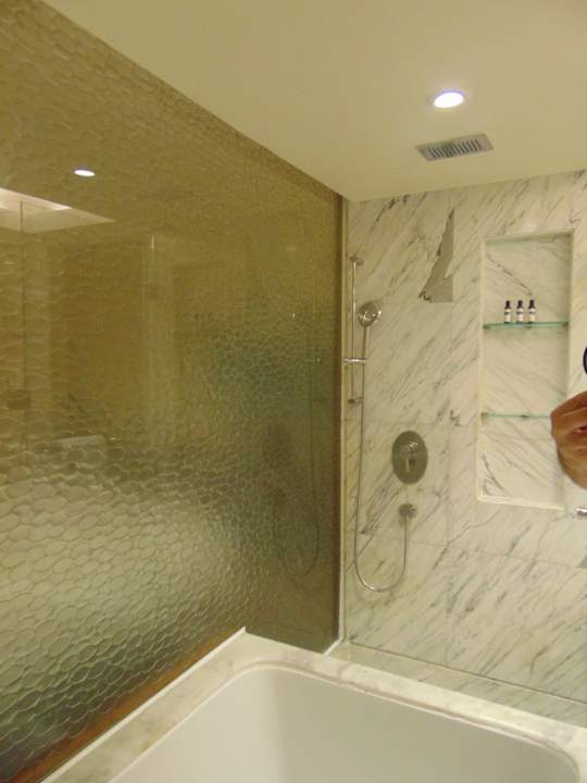 Zimmer Hotel Hyatt Regency Delhi