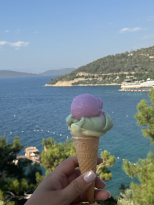 Sonstiges Duja Bodrum