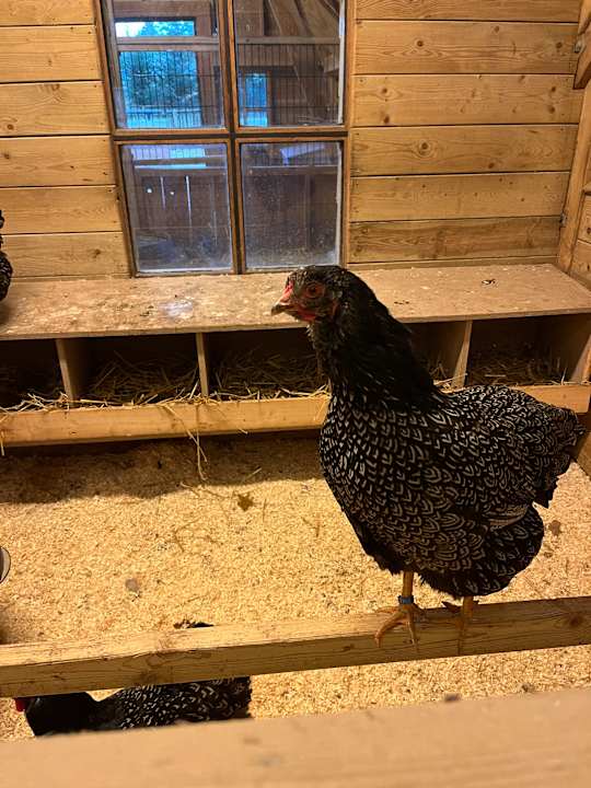 Sport & Freizeit Center Parcs De Kempervennen