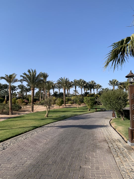 Gartenanlage Steigenberger Aqua Magic