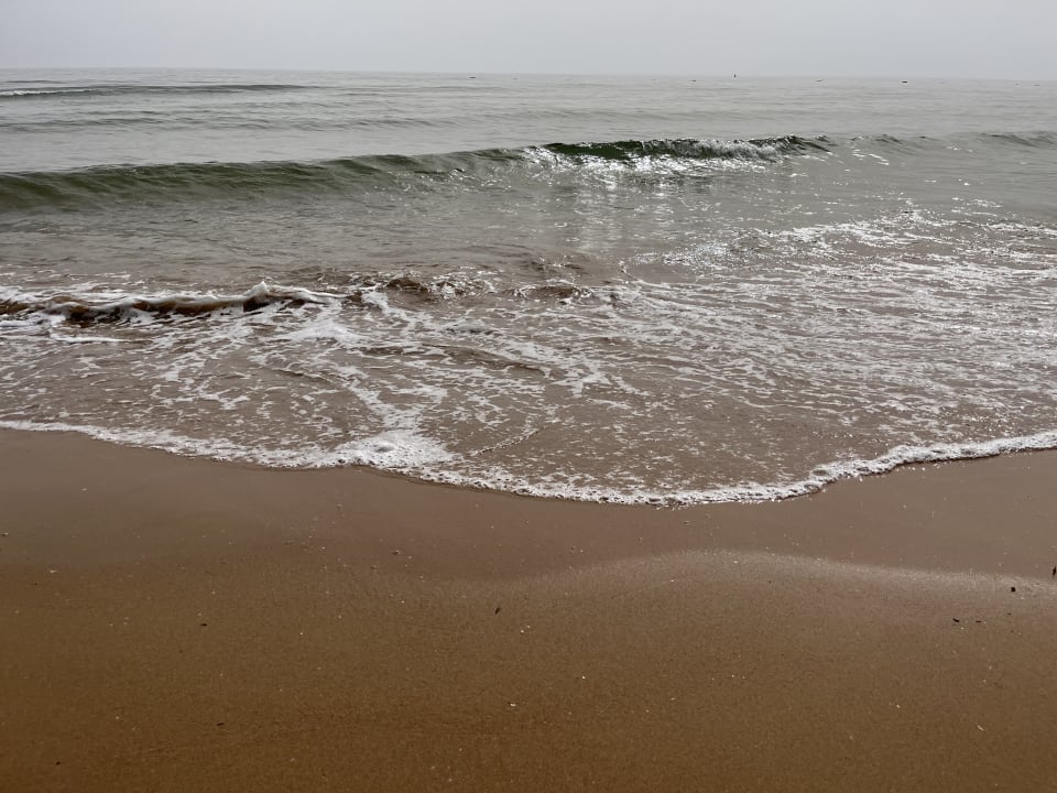 Sport & Freizeit Paloma Oceana