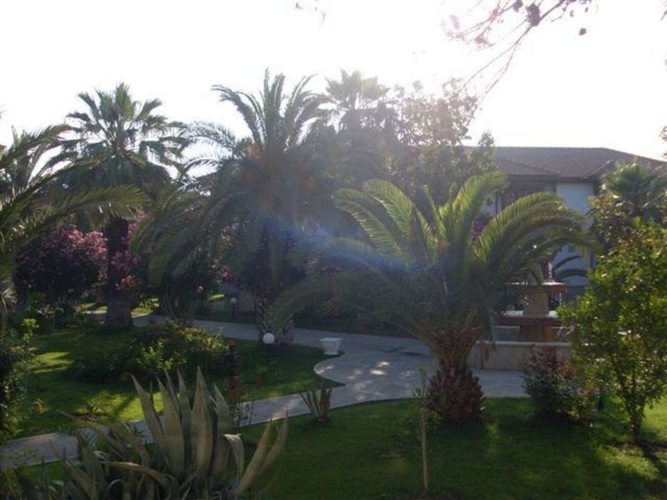 Blick vom Balkon Ali Bey Club