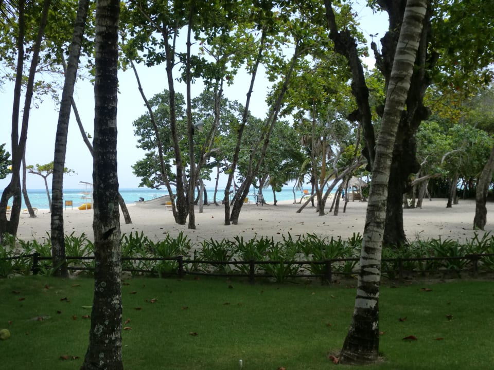 Strand Iberostar Waves Costa Dorada