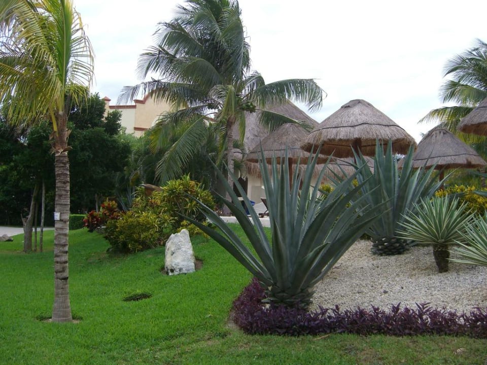 Anlage bei den Roayls Grand Palladium Select White Sand Resort & Spa