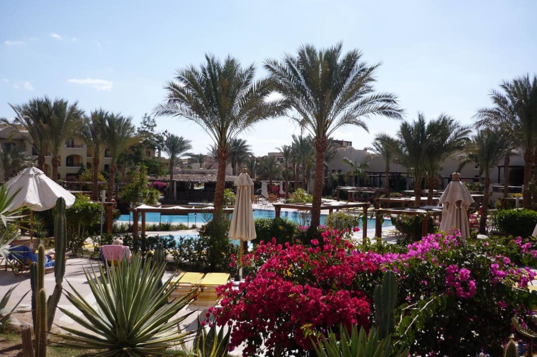 Am Pool Hotel JAZ Makadi Star & Spa
