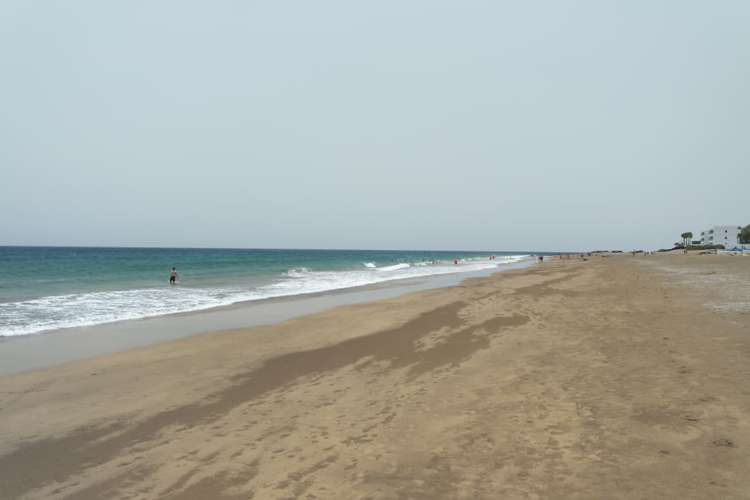 Strand Relaxia Olivina