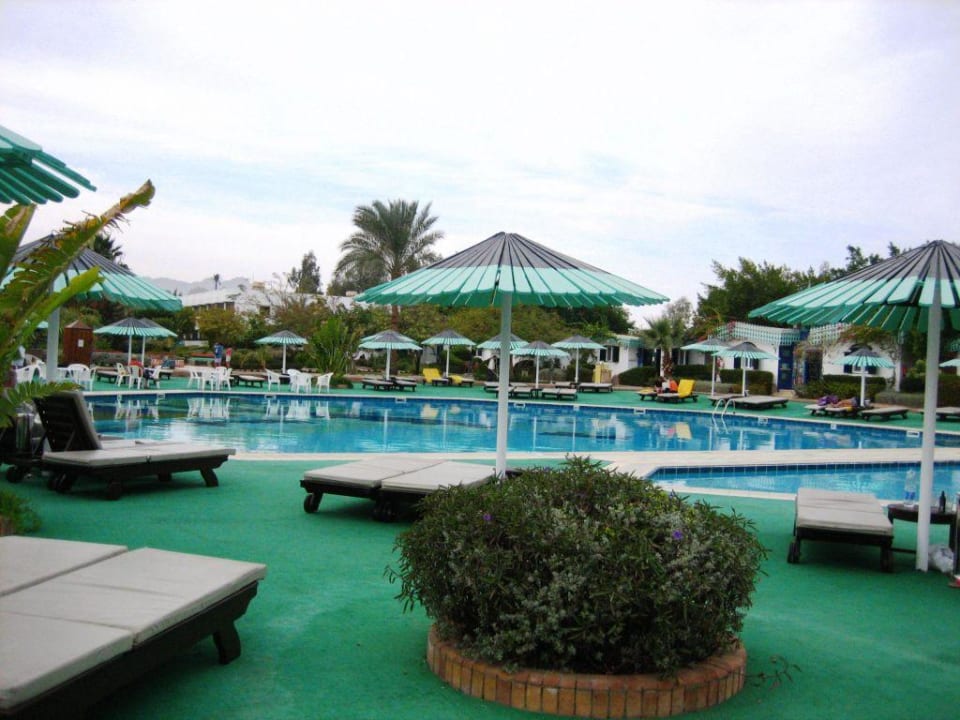 Poolanlage Ghazala Beach