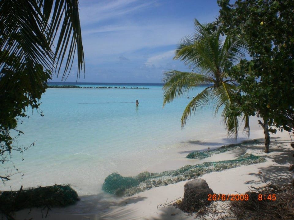 Die Ostseite Summer Island Maldives