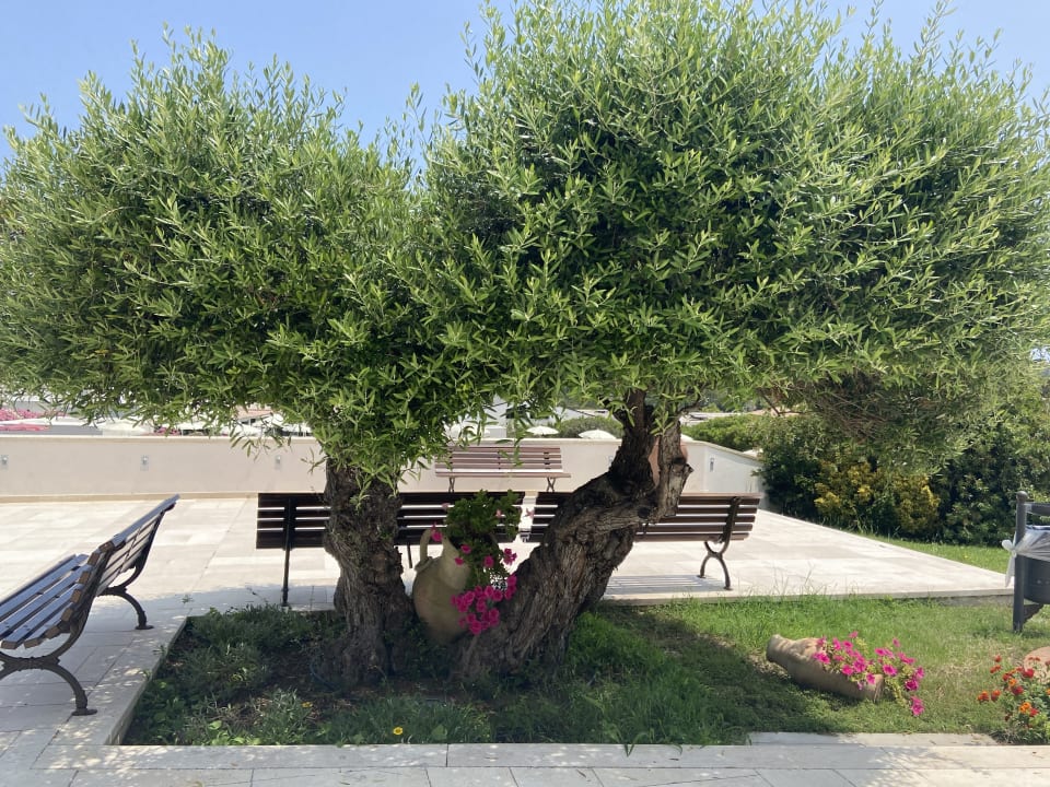 Gartenanlage Grande Baia Resort & Spa