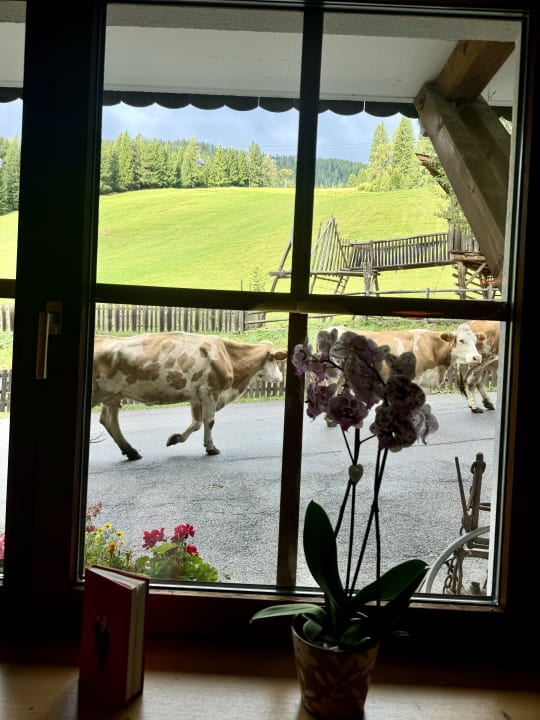 Ausblick Hotel Hinteregger