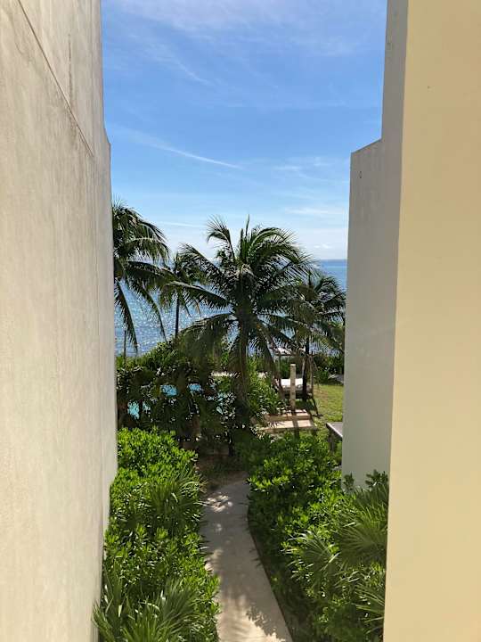 Gartenanlage Akumal Bay Beach & Wellness Resort