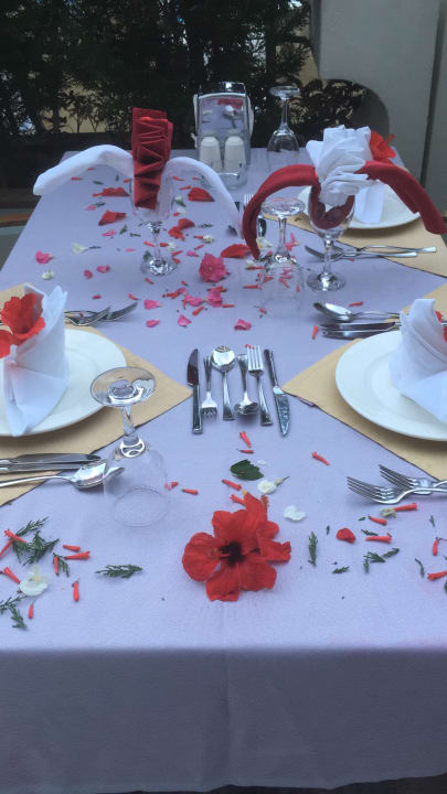 Gastro Castival Hotel
