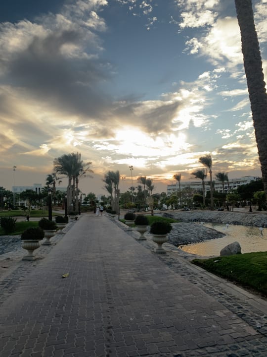 Gartenanlage Steigenberger Aqua Magic