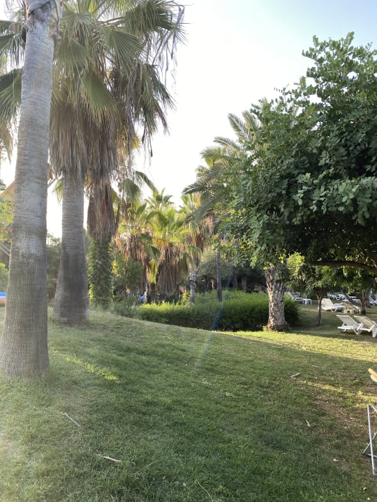 Gartenanlage Hotel Defne Garden