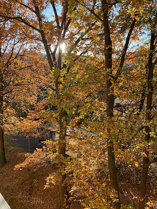 Ausblick Best Western Hotel Jena