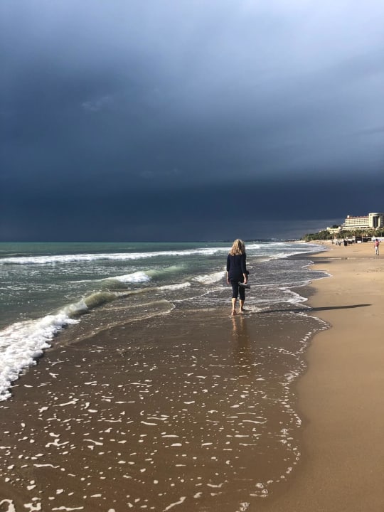 Strand Acanthus Cennet Barut Collection