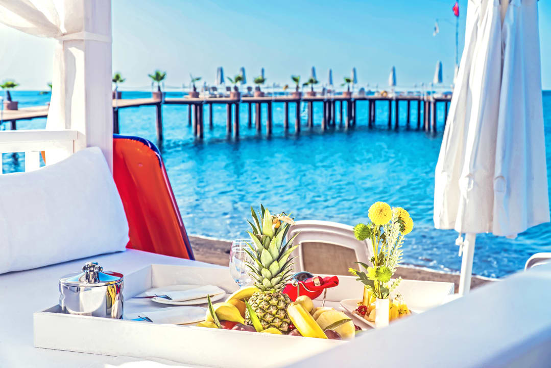 Gastro Royal Wings Hotel